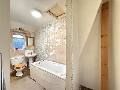 Picture 8